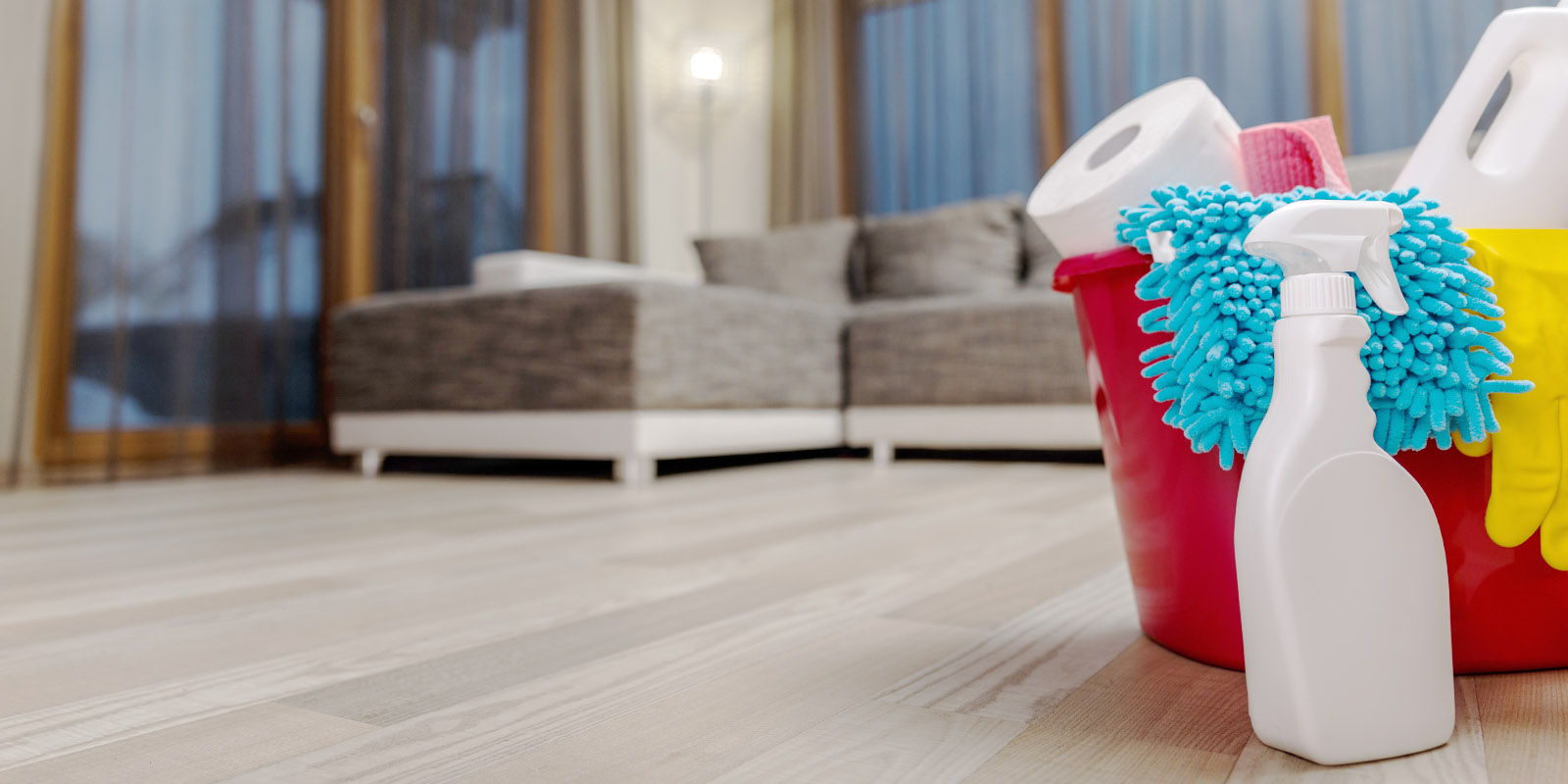 cleaning service. chemicals and paper towel.